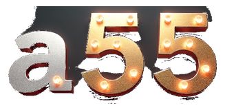 a55 5g logo